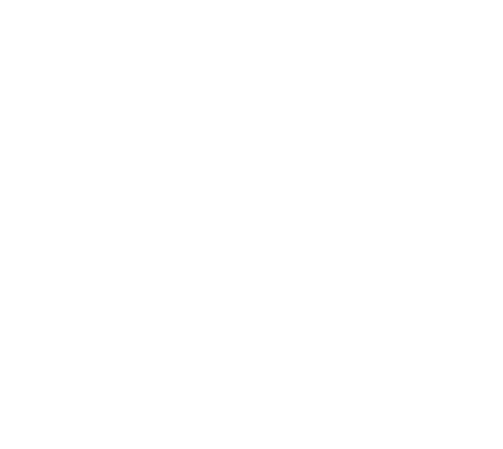 Blank white image with no content or elements visible.