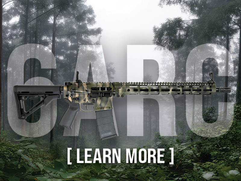 AR-style rifle with camouflage finish placed over a misty forest backdrop, with a bold 'LEARN MORE' caption at the bottom.